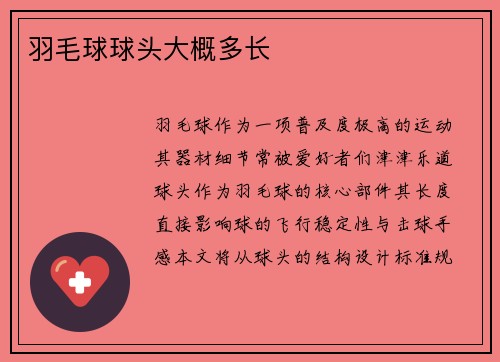 羽毛球球头大概多长